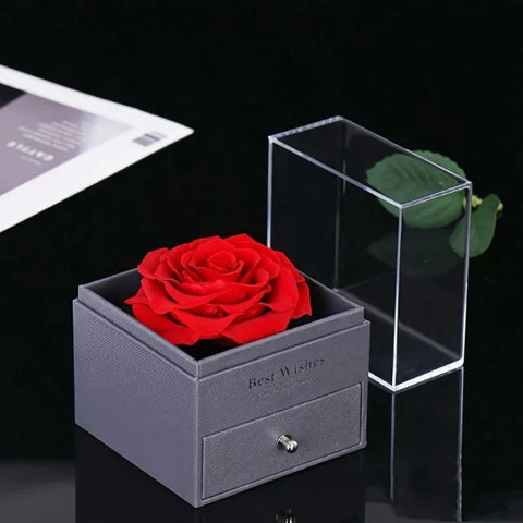 ROSA ETERNA CON COLLAR - TE AMO EN 100 IDIOMAS