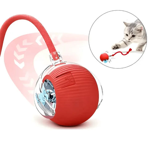PELOTA MAGICA PARA MASCOTAS